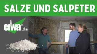 Salze und Salpeter die Salze im Mauerwerk und was ist zu tun mit den Ausblühungen [upl. by Leontine]