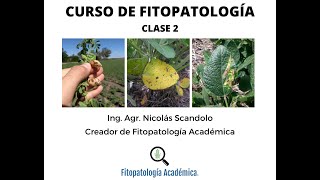 Curso de Fitopatología Clase 2 Enfermedades monocíclicas y policíclicas [upl. by Fronniah704]