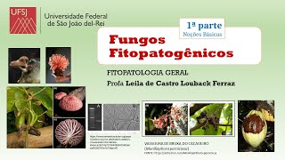 FUNGOS Noções básicas 1a parte FITOPATOLOGIA UFSJ [upl. by Gisella774]