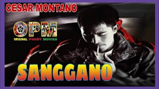 Sanggano Cesar Montano Tagalog action movies [upl. by Ateuqram323]