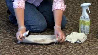 Ecolab  Carpet Spotting Video [upl. by Rochell]