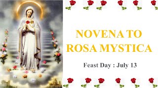 Novena to Our Lady of Rosa Mystica  Litany of Rosa Mystica [upl. by Eihtur275]