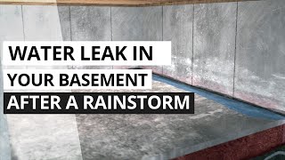 Water Leak in Basement After Rain Animation [upl. by Aneeram]