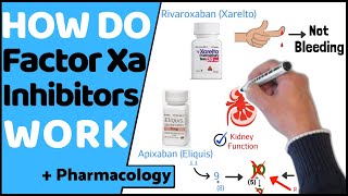 How do Factor Xa Inhibitors Work DOACs [upl. by Sheehan]