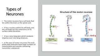 Chapter 151 Introduction to Coordination [upl. by Odnomor938]