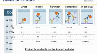 ELISA principles and troubleshooting [upl. by Aral]