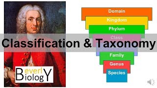 Classification and Taxonomy [upl. by Culhert371]