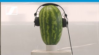 HD 25 – The Watermelon Challenge  Sennheiser [upl. by Annoed]