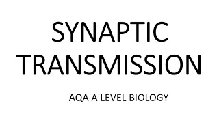 SYNAPTIC TRANSMISSION  AQA A LEVEL BIOLOGY  EXAM QUESTIONS RUN THROUGH [upl. by Sonja]