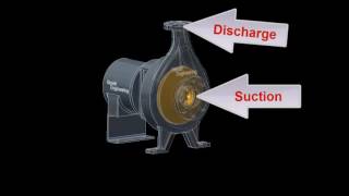 Cause amp Effect of Pump Cavitation [upl. by Howey16]