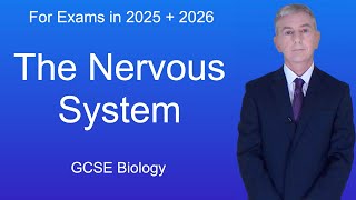 GCSE Biology Revision quotThe Nervous Systemquot [upl. by Guenzi]