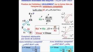 Enzymes Inhibiteurs compétitifs version Fr [upl. by Teirrah]