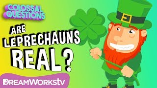 Are Leprechauns Real  COLOSSAL QUESTIONS [upl. by Hillari]