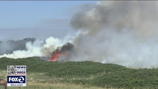 Bradford Island wildfire burns with little resistance from firefighters [upl. by Ardnos]