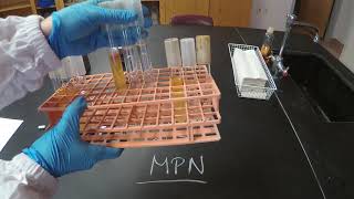 Most Probable Number MPN  Microbiology [upl. by Eiryt490]