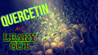 Quercetin and Leaky Gut [upl. by Francklyn]