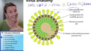 Biotechnology 2 Virus anatomy [upl. by Sopher]