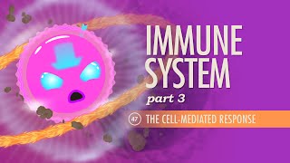 Immune System Part 3 Crash Course Anatomy amp Physiology 47 [upl. by Edals402]