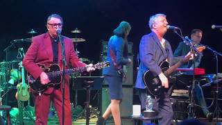 Squeeze Live 2019 Pulling Mussels from the Shell [upl. by Christabella]