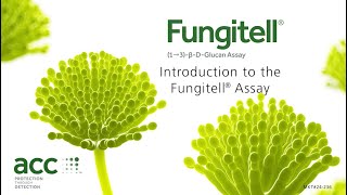 Fungitell® Training Video [upl. by Mahseh]