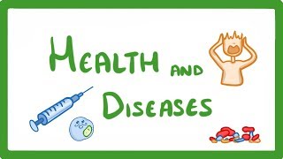 GCSE Biology  Health and Disease 33 [upl. by Horace62]