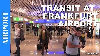 TRANSIT WALK AT FRANKFURT Airport FRA Terminal 1  Connection Flight Transfer Arriving amp Departing [upl. by Jaf]