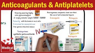 Pharmacology  Anticoagulants and Antiplatelet Drugs FROM A TO Z [upl. by Gunther]