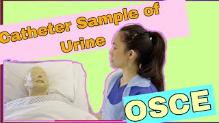 Catheter Sample of Urine CSU OSCE 2021 [upl. by Ennaed357]