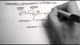 Haemostasis 3  Anticoagulants amp Thrombolytics [upl. by Florida216]