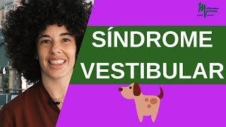 Síndrome Vestibular en Perros [upl. by Arel986]