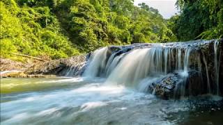 Places to see in  Yorkshire  UK  The Ingleton Waterfalls [upl. by Kunkle988]